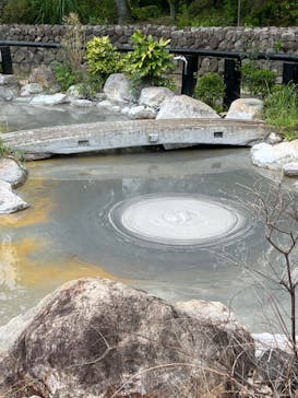 べっぷ地獄めぐりに投稿された画像（2024/9/14）