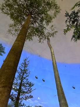 福井県立恐竜博物館に投稿された画像（2024/9/14）