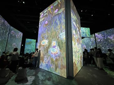 モネ＆フレンズ・アライブに投稿された画像（2024/9/14）