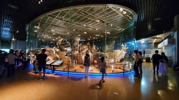 国立科学博物館に投稿された画像（2024/9/14）