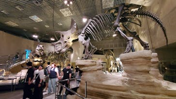 国立科学博物館に投稿された画像（2024/9/14）