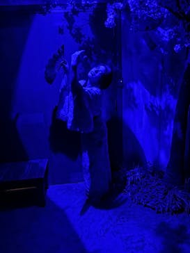 ナンジャタウンに投稿された画像（2024/9/14）