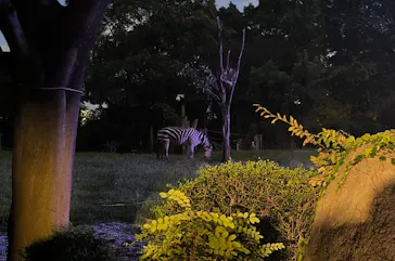 天王寺動物園に投稿された画像（2024/9/14）