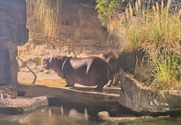 天王寺動物園に投稿された画像（2024/9/14）