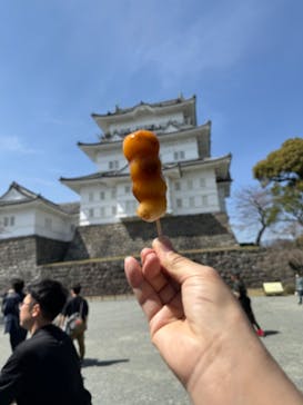 小田原城に投稿された画像（2024/9/14）