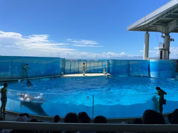 新江ノ島水族館に投稿された画像（2024/9/14）