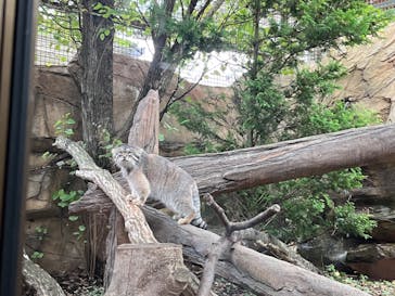 那須どうぶつ王国に投稿された画像（2024/9/14）