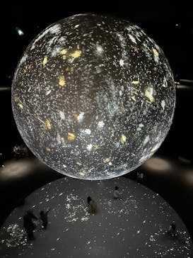 NIFREL（ニフレル）に投稿された画像（2024/9/14）