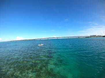 宮古島BLUE（ミヤコジマブルー）に投稿された画像（2024/9/14）