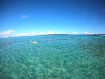 宮古島BLUE（ミヤコジマブルー）に投稿された画像（2024/9/14）