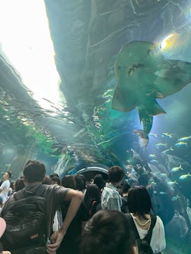 マクセル アクアパーク品川に投稿された画像（2024/9/14）