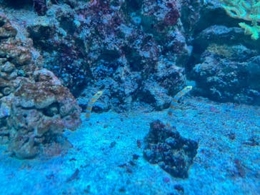 マクセル アクアパーク品川に投稿された画像（2024/9/14）