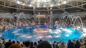 マクセル アクアパーク品川に投稿された画像（2024/9/14）