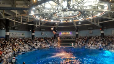 マクセル アクアパーク品川に投稿された画像（2024/9/14）