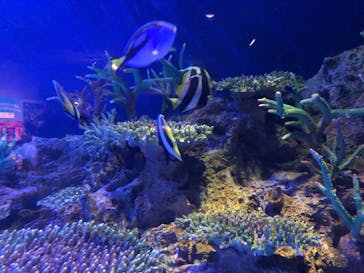 マリンワールド海の中道に投稿された画像（2024/9/14）