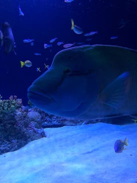 マリンワールド海の中道に投稿された画像（2024/9/14）