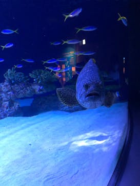 マリンワールド海の中道に投稿された画像（2024/9/14）