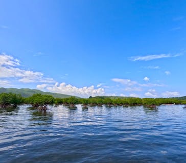 西表島 ADVENTURE PiPi（アドベンチャーピピ）に投稿された画像（2024/9/14）