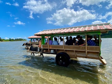 西表島 ADVENTURE PiPi（アドベンチャーピピ）に投稿された画像（2024/9/14）