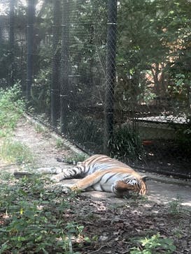 到津の森公園に投稿された画像（2024/9/14）