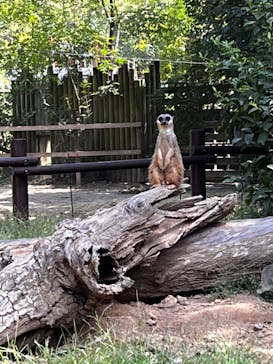 到津の森公園に投稿された画像（2024/9/14）