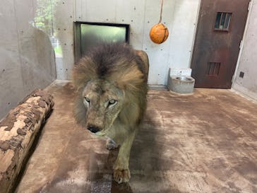 千葉市動物公園に投稿された画像（2024/9/14）