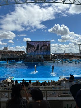 名古屋港水族館に投稿された画像（2024/9/14）