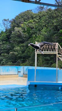 下田海中水族館に投稿された画像（2024/9/14）