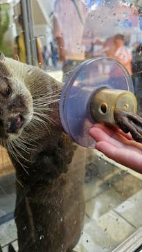 下田海中水族館に投稿された画像（2024/9/14）