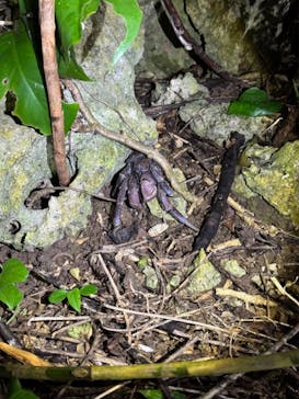 宮古島マリン SUGAR3（シュガースリー）に投稿された画像（2024/9/14）