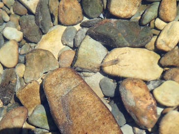 KAC古座川アドベンチャー倶楽部に投稿された画像（2024/9/14）