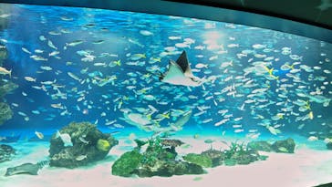 サンシャイン水族館に投稿された画像（2024/9/14）