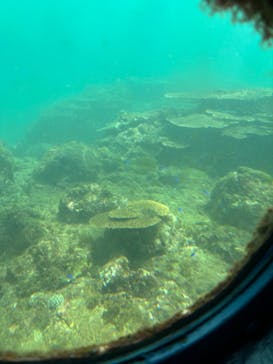 串本海中公園水族館に投稿された画像（2024/9/14）