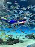 サンシャイン水族館に投稿された画像（2024/9/14）