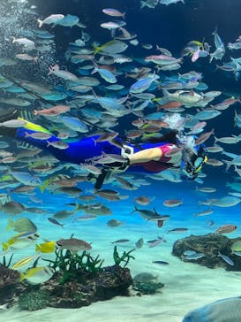 サンシャイン水族館に投稿された画像（2024/9/14）