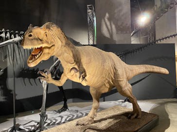 福井県立恐竜博物館に投稿された画像（2024/9/14）