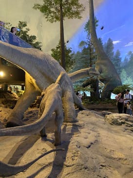 福井県立恐竜博物館に投稿された画像（2024/9/14）