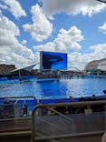 名古屋港水族館に投稿された画像（2024/9/14）