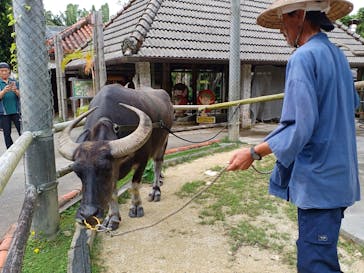 琉球村に投稿された画像（2024/9/14）