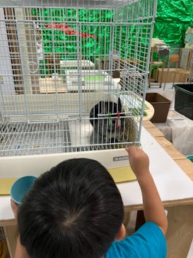 いきもの探検隊に投稿された画像（2024/9/14）