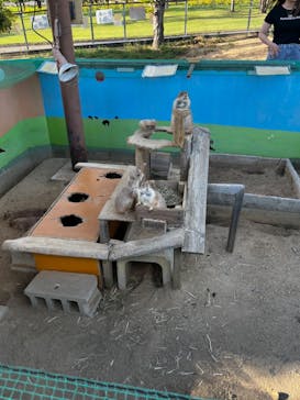 淡路ファームパーク イングランドの丘に投稿された画像（2024/9/14）