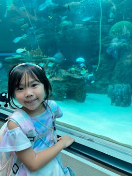 名古屋港水族館に投稿された画像（2024/9/14）