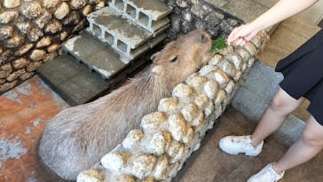 おさるの湯もみ処　おさ湯に投稿された画像（2024/9/14）