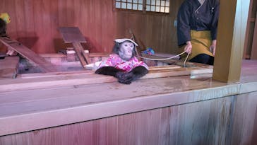 おさるの湯もみ処　おさ湯に投稿された画像（2024/9/14）