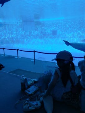 名古屋港水族館に投稿された画像（2024/9/14）
