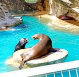 名古屋市東山動植物園に投稿された画像（2024/9/15）