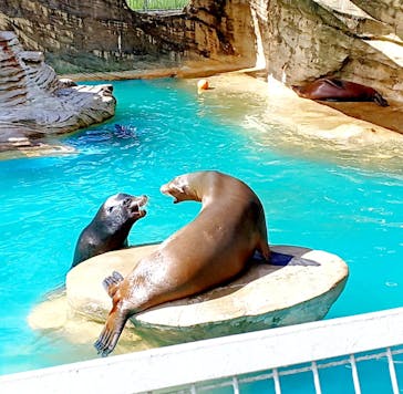 名古屋市東山動植物園に投稿された画像（2024/9/14）