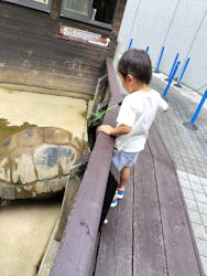 世界淡水魚園水族館　アクア・トトぎふに投稿された画像（2024/9/14）