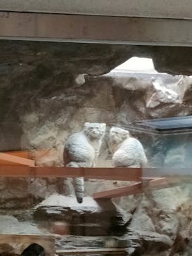 恩賜上野動物園に投稿された画像（2024/9/14）