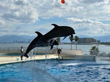 マリンワールド海の中道に投稿された画像（2024/9/14）